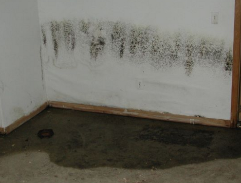 Humidité dans les murs intérieurs : Causes, traitement et conseils