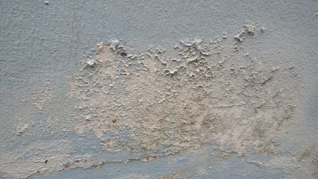 Les dangers de la moisissure sur un mur